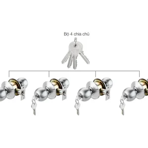 Bộ 4 khóa tròn và chìa chủ Häfele DIY 489.93.253