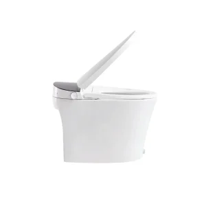 Bồn cầu điện tử Hafele 588.79.413