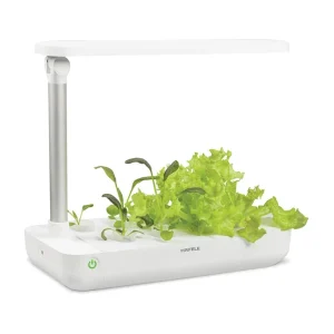Hộp trồng cây EasyGrow Home Box 539.76.980