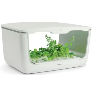 Hộp trồng cây EasyGrow Home Box 539.76.990