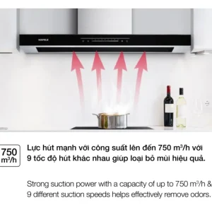 Máy hút mùi gắn tường Hafele 70cm HC-W705B 533.87.377