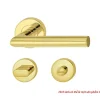 Tay nắm gạt cho cửa vệ sinh màu đồng bóng PVD Hafele 903.93.558