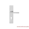 Tay nắm gạt đế dài Inox 316 Hafele 903.78.589