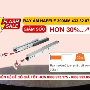 Ray âm giảm chấn mở toàn phần Hafele 300mm 433.32.071