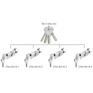 Bộ 4 ruột khóa chìa chủ một cấp Hafele 489.56.411