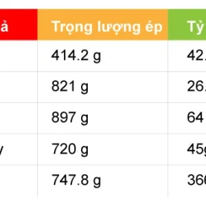 Máy ép chậm Häfele GS-133N 535.43.811