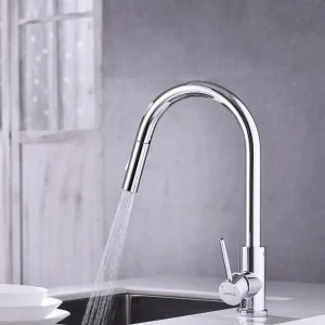 Vòi rửa chén Hafele HT21-CH1P287 577.55.230