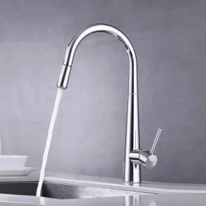 Vòi rửa chén Hafele HT21-CH1P245 577.55.220