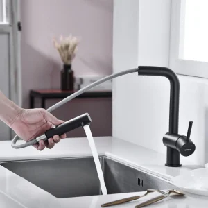 Vòi rửa chén Hafele màu đen HT21-GH1P254 577.55.390