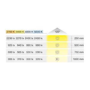 Đèn LED dây Hafele 24V, 8mm, 5000K, 9.6W/m, 5 mét 833.76.638